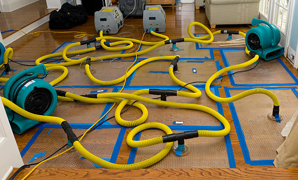 Professional Water Extraction technician working in Skokie, IL